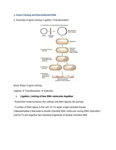 Techniques in Molecular Biology | MIX3001 - Techniques in Molecular ...