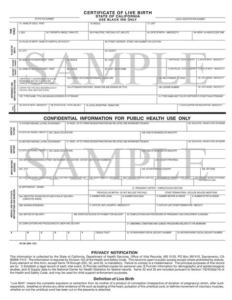 15 Birth Certificate Templates (Word & PDF) - Template Lab