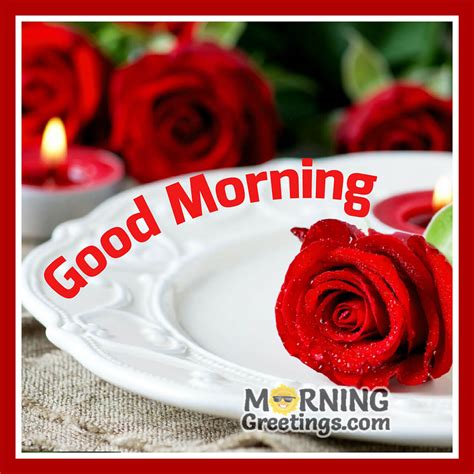 51 Good Morning Wishes With Rose - Morning Greetings – Morning Quotes And Wishes Images