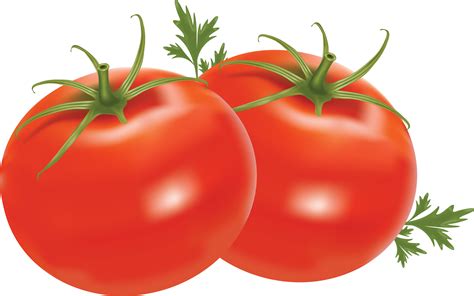 Red Tomato Clipart Image