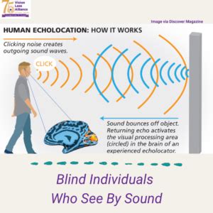 Human Echolocation: How It Works - Vision Loss Alliance of New Jersey