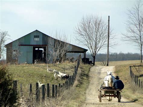 Amish Man Going Home | One of our local Amish heading home f… | Flickr