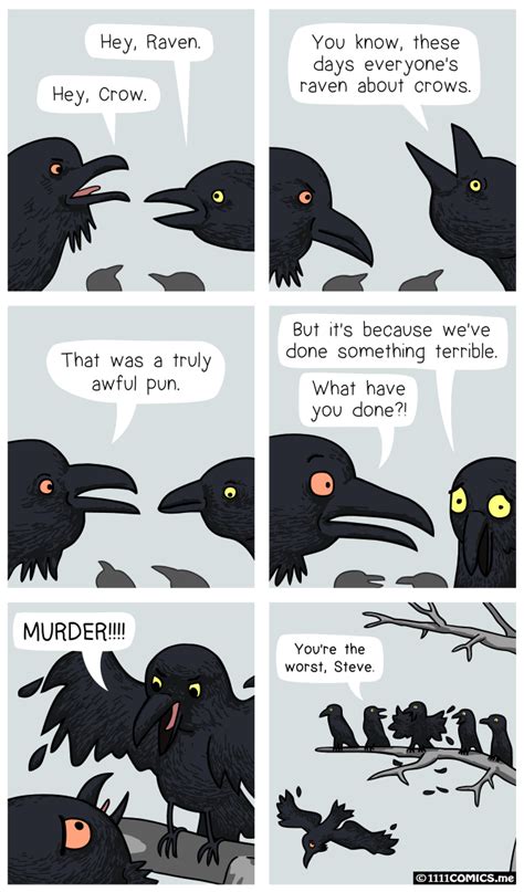 The raven and the crow. | Funny animal memes, Crow, Fun comics