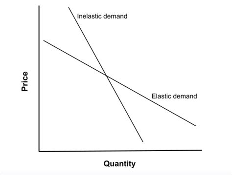 [Solved] using a well labelled graph as aid, fully explain each of the ...