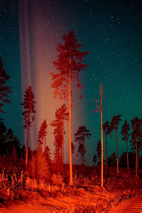 They came from outer Finland: the town where everyone saw UFOs – in pictures | Art and design ...