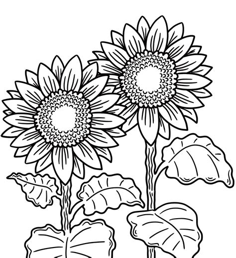 Download Sunflowers, Flowers, Plants. Royalty-Free Stock Illustration ...