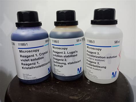 Gram-color Stain set for the Gram staining method | VNK Supply & Services