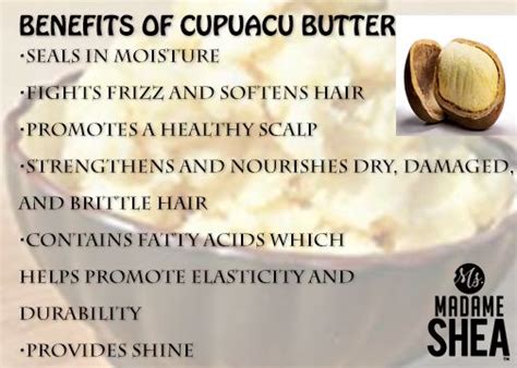 Benefits of Cupuacu Butter for hair | Herbs for hair growth, Hair care ...