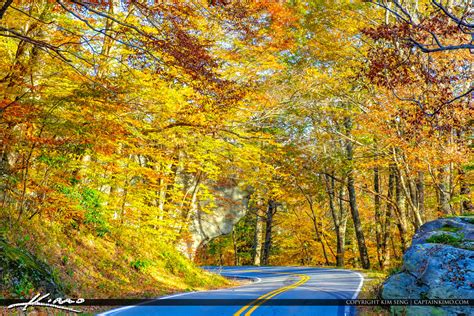 Blue Ridge Parkway Road Fall Colors Yellow Colors NC | Royal Stock Photo