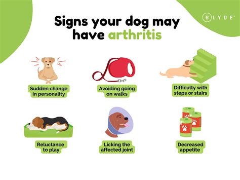 How Do You Know If Dog Has Arthritis