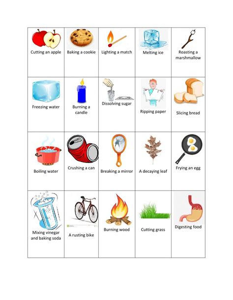 Physical And Chemical Change Worksheets