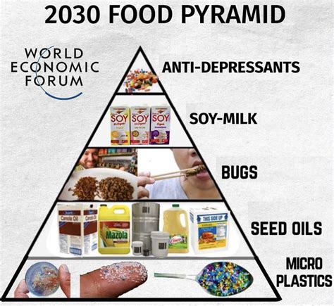 WEF 2030 food pyramid - Meme subido por schizoidman :) Memedroid