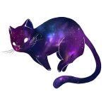 space cat Meme Generator - Imgflip