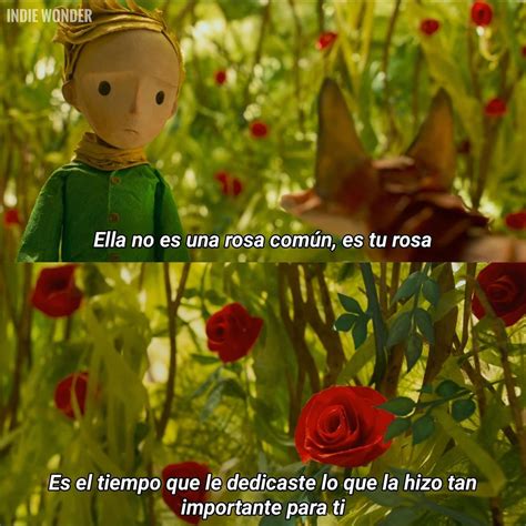 Little Prince Quotes, The Little Prince, Funny Questions, Barbie, Movie ...