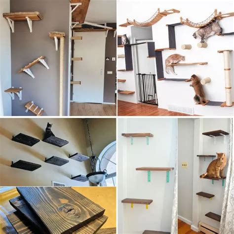 16 Creative DIY Cat Shelves and Cat Wall Ideas | Diy cat shelves, Cat ...