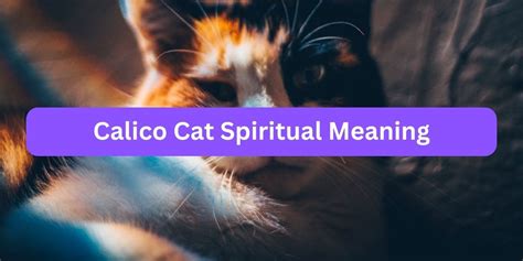 Calico Cat Spiritual Meaning (Myths vs Reality)