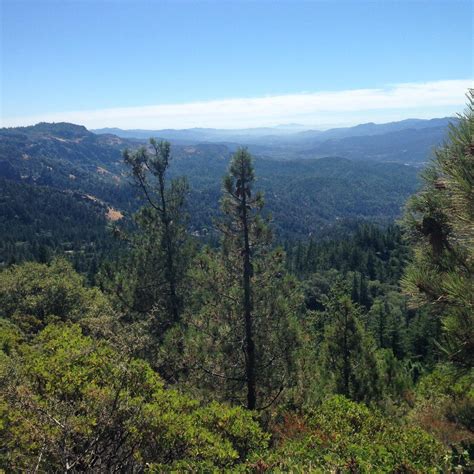 Altitude Adjustment: Napa Valley’s Favorite Hiking Trails - The Visit Napa Valley Blog