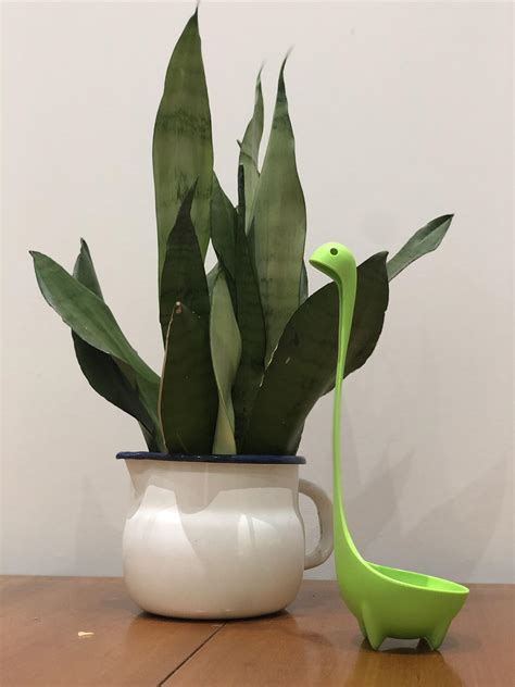 Loch Ness Ladle for 50p, stoked about this find! : r/ThriftStoreHauls