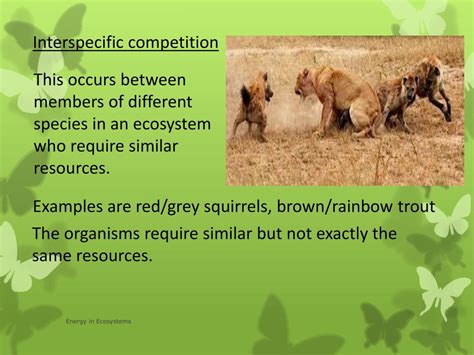 PPT - Competition in ecosystems PowerPoint Presentation, free download ...