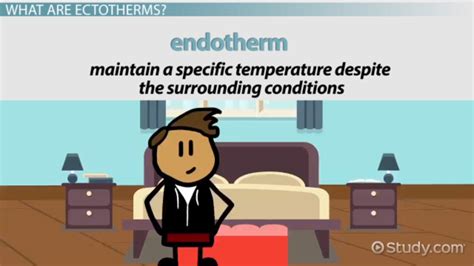 Ectotherm | Overview, Definition & Examples - Video & Lesson Transcript | Study.com