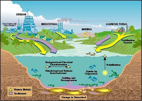 Cyanide Contaminant Spill - Baia Mare, Romania: Cyanide and Heavy Metals