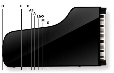 Steinway Grand Piano Dimensions