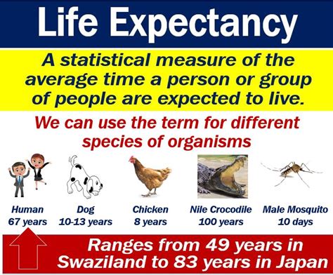 What is life expectancy? Definition and examples - Market Business News