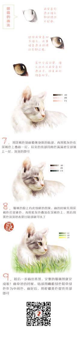 Cute cat drawing. Color pencil techniques. Step by step tutorial for ...