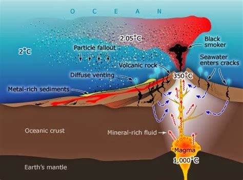 Everything About the Volcanic Processes