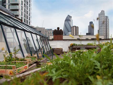 The London Fiver – Five of the Best Rooftop Gardens in London for ...