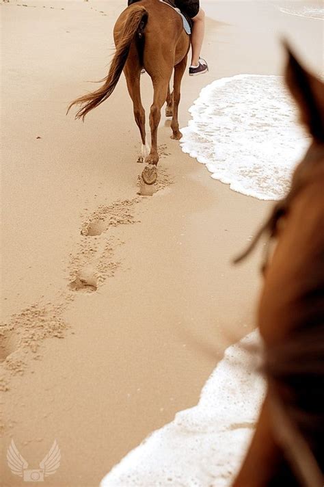 31 best images about Horse riding on the beach on Pinterest | Holidays ...