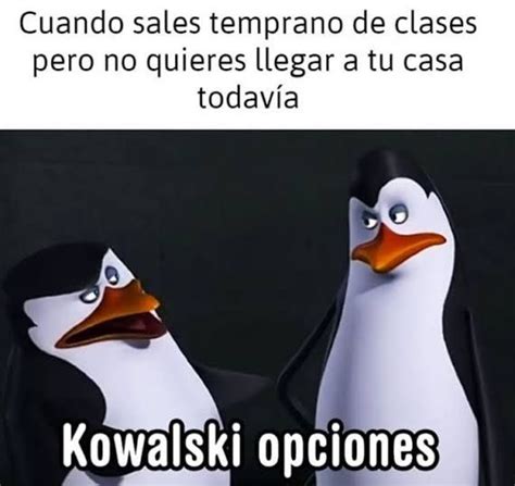 Los Pingüinos De Madagascar | Memes, Humor, Funny images