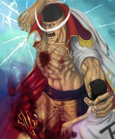 Whitebeard Vs Akainu | Anime Amino