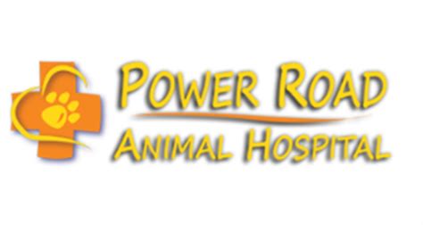 Power Road Animal Hospital - Request an Appointment