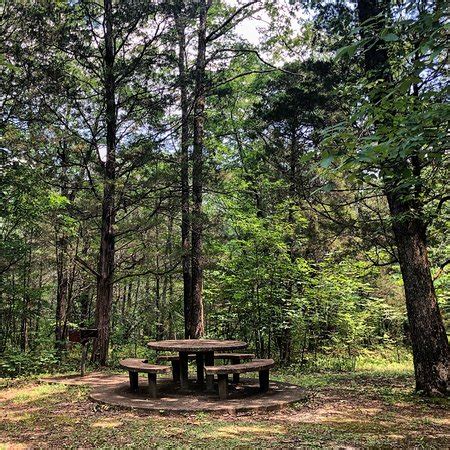 Cedars of Lebanon State Park - 2021 All You Need to Know BEFORE You Go (with Photos) - Tripadvisor