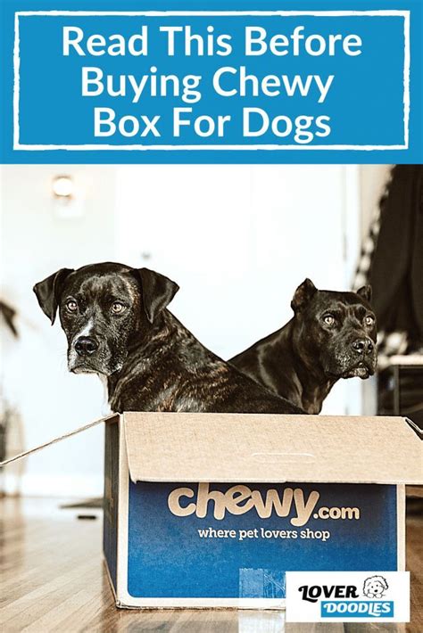 Read This Before Buying Chewy Box For Dogs in 2021 | Dog subscription, Doodle dog, Dog box ...