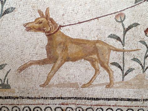 Roman mosaic detail - a dog on a leash, from Bardo museum, Tunisia | Roman mosaic, Roman art ...