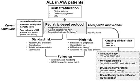 Acute Lymphoblastic Leukemia Patient