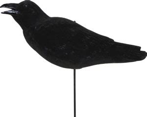 Crow Decoys Traditional from Knutson's Decoy Your Waterfowl Hunting ...