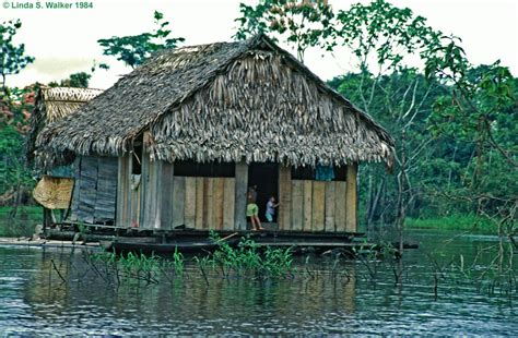 A floating house, Amazon River, Peru