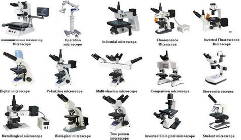 Microscope And Its Types Types Of Microscope, 50% OFF