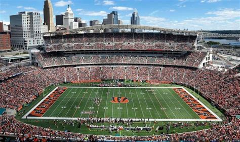 Cincinnati Bengals - Stadium Dude