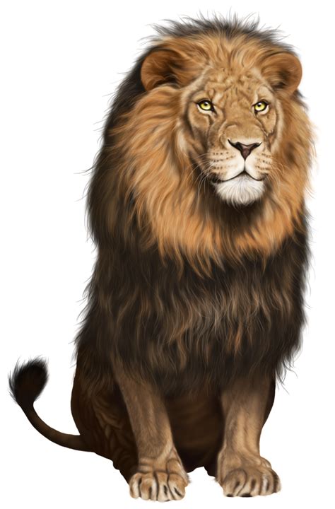 Download High Quality lion clipart real Transparent PNG Images - Art ...