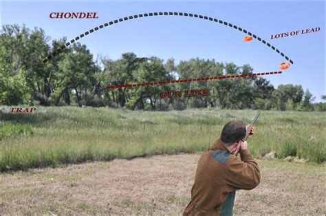 Shotgunning In The Automatic Mind: The Creation Of The Most Beautiful Shotgun Instruction Book ...