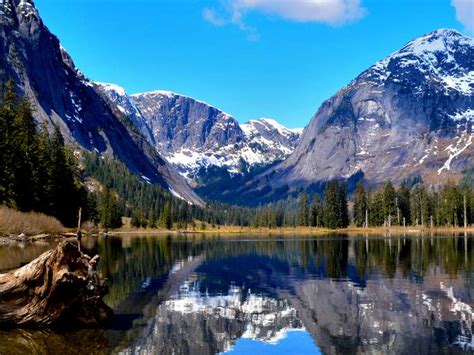 Glacier Bay wildlife - Alaska 2024 & 2025 - Cunard cruises