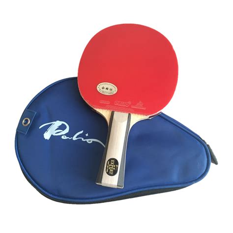 Best Ping Pong Paddle Buyer's Guide - Find Out What Best For You [2018]