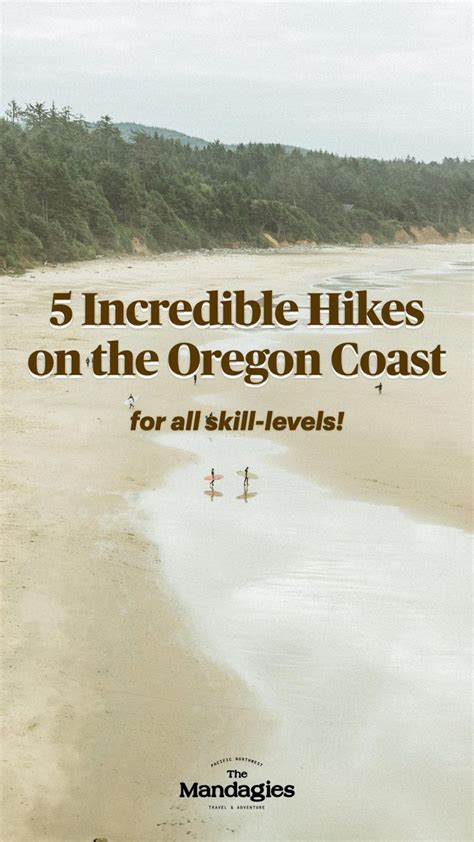 5 Incredible Hikes on the Oregon Coast for All Skill-Levels | Oregon ...