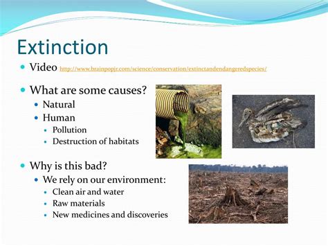 PPT - Biodiversity PowerPoint Presentation, free download - ID:1599050