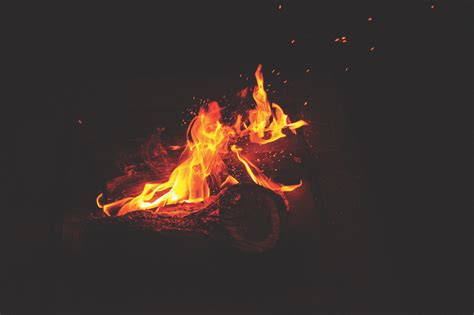 Brown lit woods, Bonfire, Fire, Flames HD wallpaper | Wallpaper Flare