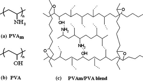 Schematic diagram of PVAm/PVA blend polymer framework. | Download Scientific Diagram